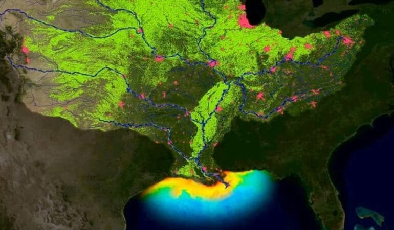 Map of Mississippi River watershed and Gulf of Mexico