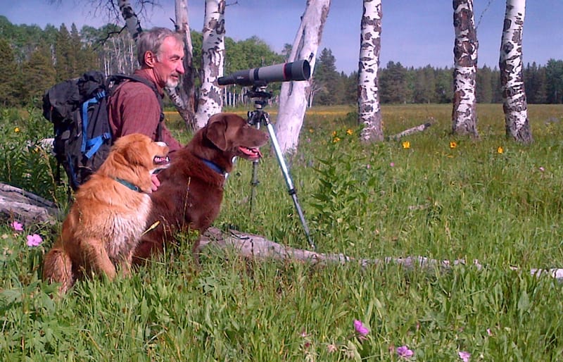 A man and two dogs crouch in a mostly-open green meadow. Tree trunks are visible in the background.