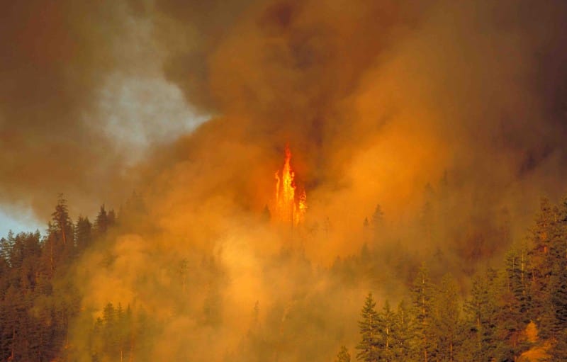 Photo of wildfire