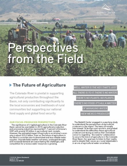 Cover of Perspectives from the Field PDF
