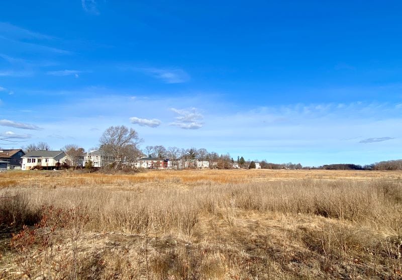 Protected marsh in Quincy, Massachusetts
